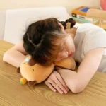 Neck Pillow